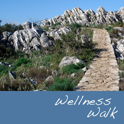 Reinhören: Wellness Walk, Version 01 von 10