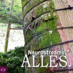 Neurostreams™ <b>ALLES</b>