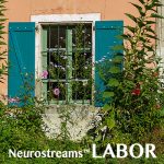 Neurostreams™ <b>LABOR</b>