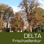 Neurostreams™ Delta Frischzellenkur