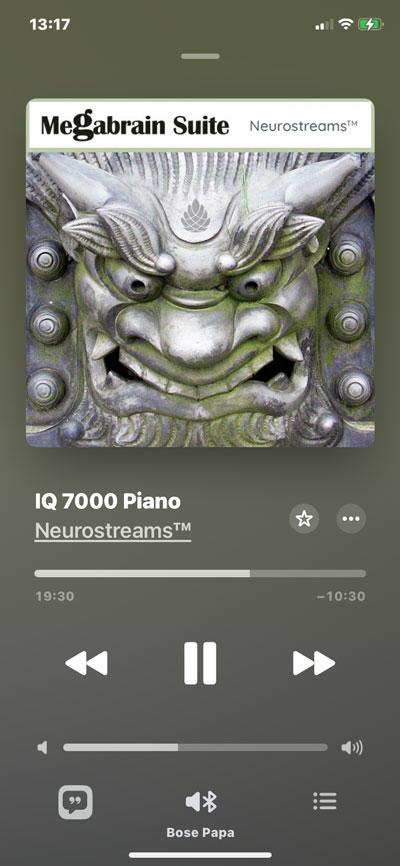 kognitive-steigerung-neure