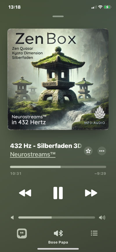 meditieren_zenbox_neuro