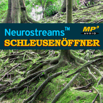 Neurostreams™ Blutdruck-Schleusenöffner